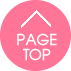 PAGE TOP